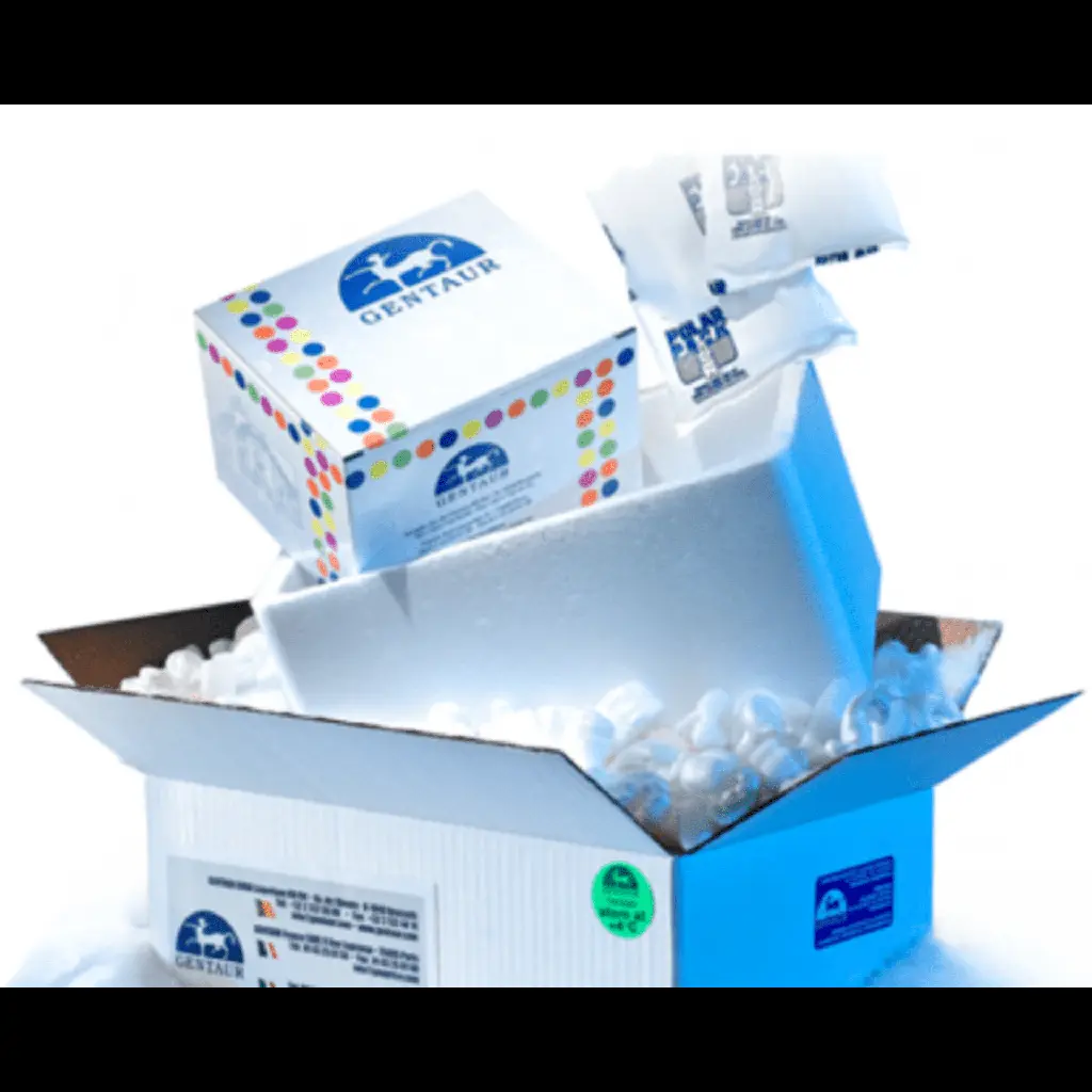 ELISA Kit for Lactate Dehydrogenase (LDH) - 96T