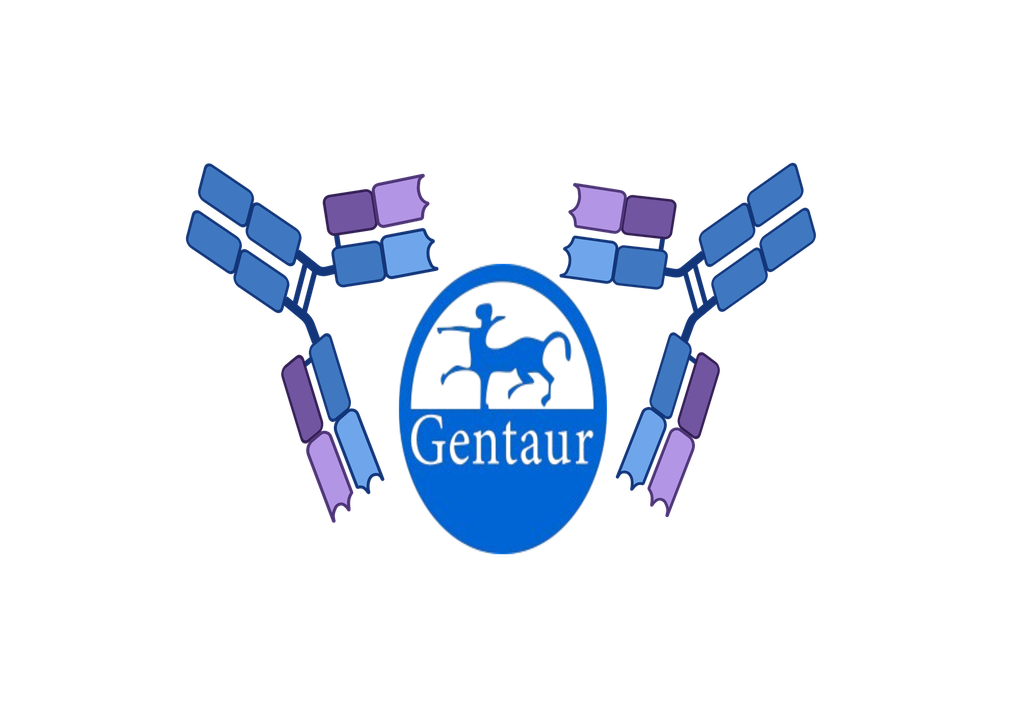  Rota-Adenovirus, rapid test for detection of rotavirus and adenovirus in feces samples, test cassett...